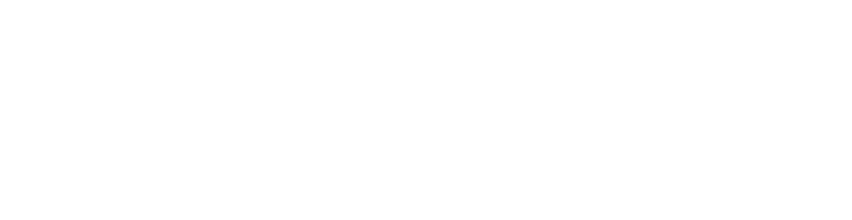 NBG_Logo_landscape_white.png